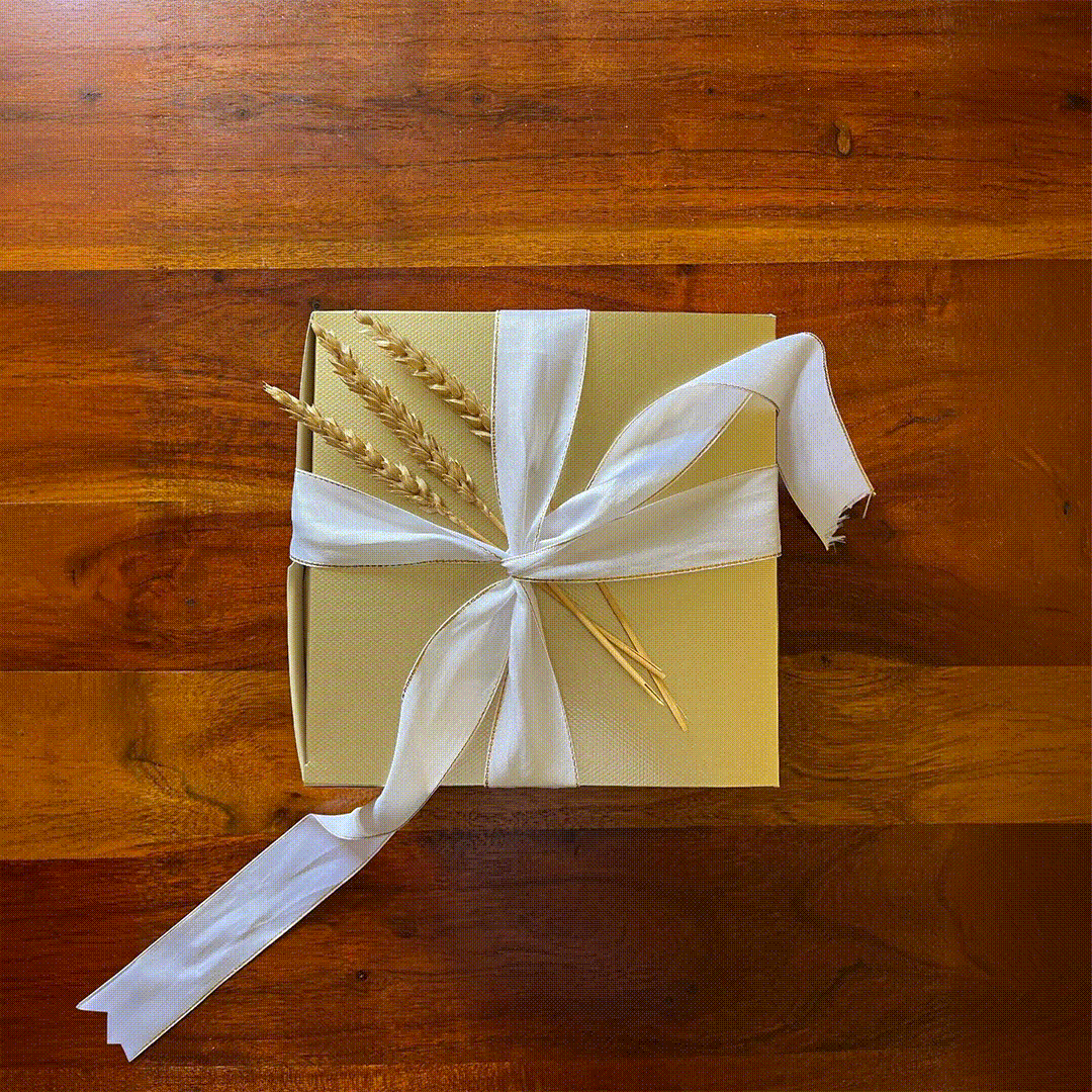 gif_protection gif_protection