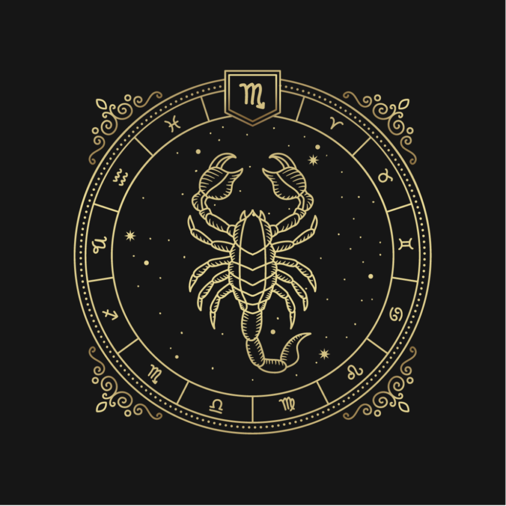 scorpion scorpion
