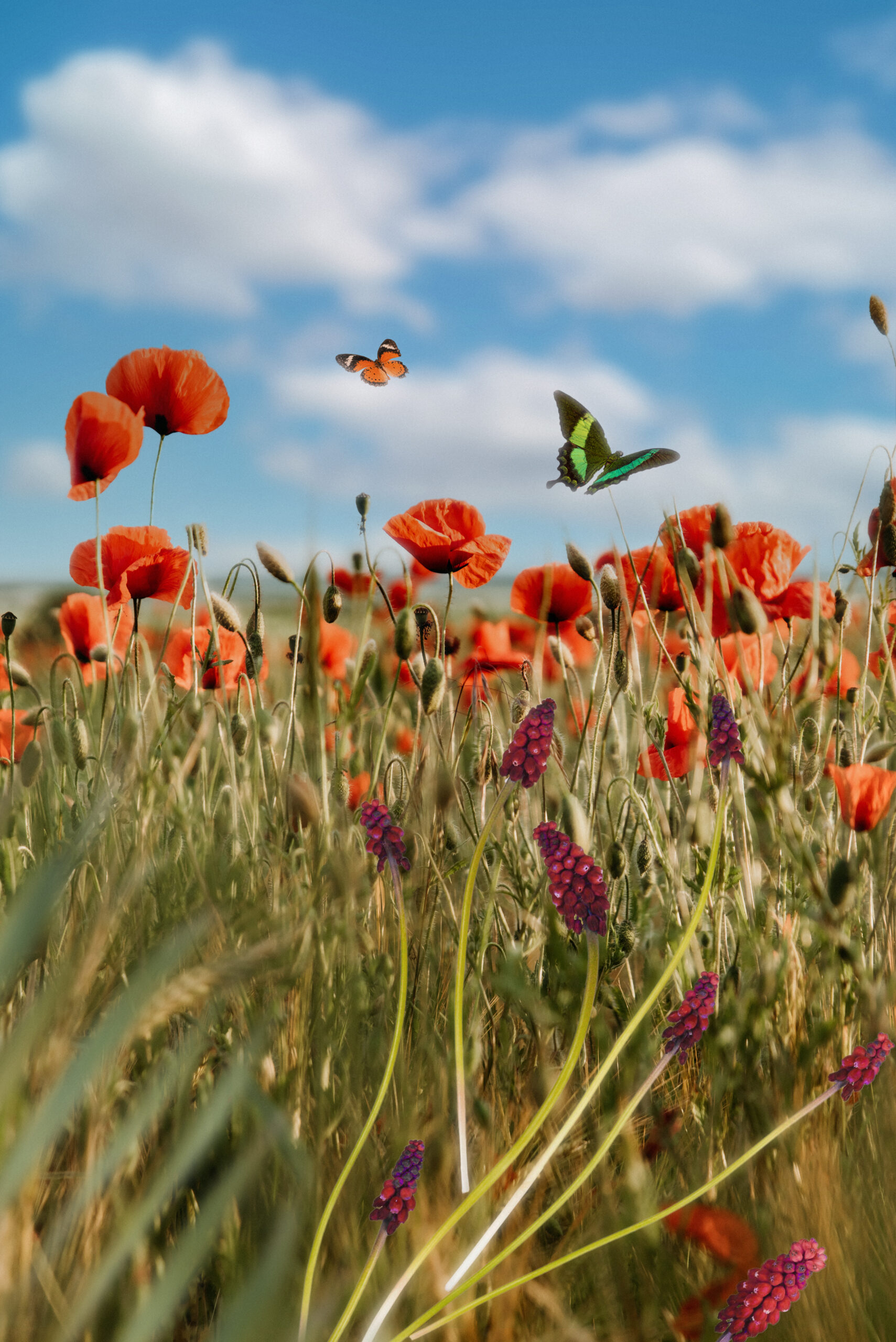 spring-scene-with-flowers-butterfly