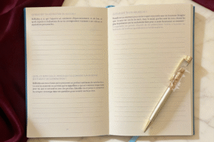 Journal