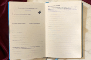 Journal.5png