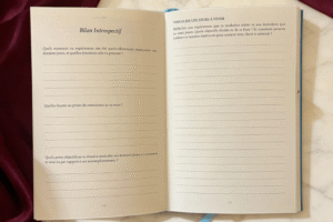 Journal2